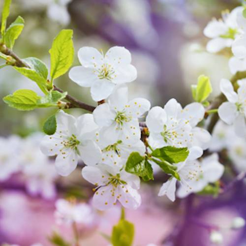 Режим работы компании на майские праздники