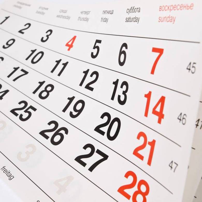 Мероприятия Компании Alta Group в феврале 2019