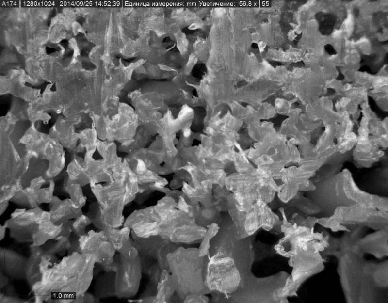 Исследование характеристик биологической загрузки созданной на основе конструкционных порошково-волокнистых полимерных материалов