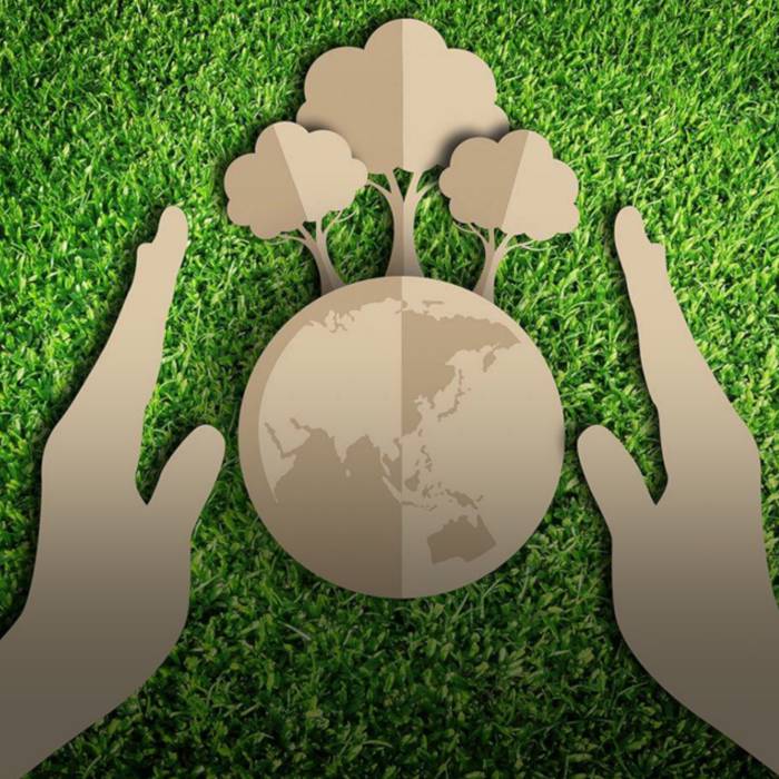 С днем эколога 2020