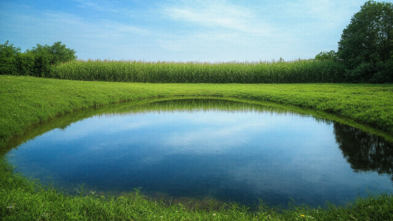 Биологические пруды